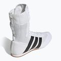 Кросівки боксерські adidas Box Hog Classic white 4