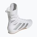 Кросівки боксерські adidas Box Hog 4 white/silver 2