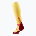 Шкарпетки компресійні жіночі CEP Run Tall 5.0 marigold/burgundy 3