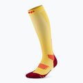 Шкарпетки компресійні чоловічі CEP Run Tall 5.0 marigold/burgundy 2