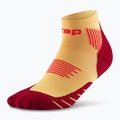 Шкарпетки компресійні чоловічі CEP Run Low Cut 5.0 marigold/burgundy 2