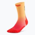 Шкарпетки компресійні чоловічі CEP Run Edt. Gradient Mid Cut Compression 5.0 red/marigold fade 2