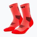 Шкарпетки компресійні чоловічі CEP Run Mid Cut 5.0 neon coral
