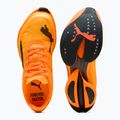 Кросівки для бігу чоловічі PUMA Fast-R Nitro Elite 3 heat fire / sun stream 6