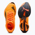 Кросівки для бігу жіночі PUMA Fast-R Nitro Elite 3 heat fire / puma black 6