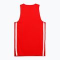 Чоловіча футбольна форма PUMA teamJAWS Starter Jersey на всі часи червона 2