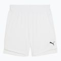 Шорти баскетбольні чоловічі PUMA teamJAWS Starter puma white