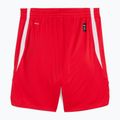 Шорти баскетбольні чоловічі PUMA teamJAWS Starter for all time red 2