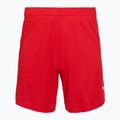 Шорти баскетбольні чоловічі PUMA teamJAWS Starter for all time red