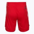 Шорти баскетбольні чоловічі PUMA teamJAWS Starter for all time red 2