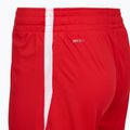 Шорти баскетбольні чоловічі PUMA teamJAWS Starter for all time red 3