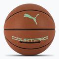Баскетбольні кросівки PUMA teamJAWS Court Pro шкіряні коричневі / темна тінь розмір 7