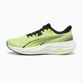 Кросівки для бігу Puma Electrify Nitro 5 sunny lime/puma black