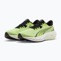 Кросівки для бігу Puma Electrify Nitro 5 sunny lime/puma black 2