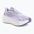 Кросівки для бігу Puma Maxima Pro light lavender/plum purple