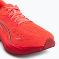 Кросівки для бігу чоловічі Puma Velocity Nitro 5 ultra red/red rhythm 7