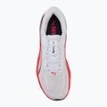 Кросівки для бігу чоловічі Puma Velocity Nitro 5 puma white/ultra red 5