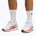 Кросівки для бігу чоловічі Puma Velocity Nitro 5 puma white/ultra red 7