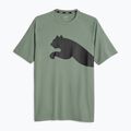 Футболка тренувальна чоловіча PUMA Train All Day Big Cat eucalyptus/puma black