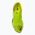 Кросівкі для бігу чоловічі PUMA Liberate Nitro 2 Psychedelic Rush green 5
