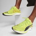 Кросівкі для бігу чоловічі PUMA Liberate Nitro 2 Psychedelic Rush green 9