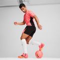 Бутси футбольні PUMA Future 7 Ultimate FG/AG sunset glow/puma black/sun stream 15
