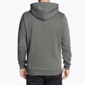 Чоловіче худі PUMA Essentials Big Logo Hoodie FL мінерально-сірий 2