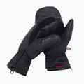 Рукавиці лижні чоловічі KinetiXx Blake Ski Alpin Mitten GTX чорні 7019-270-01