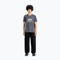 Футболка чоловіча Alpha Industries Basic greyblack 2