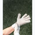 Воротарські рукавиці T1TAN Legend 1.0 white out 6