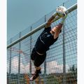 Рукавиці воротарські T1TAN Rebel 2.0 X LORIS_GK white/blue/yellow 9