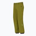 Штани гірськолижні чоловічі Descente Roscoe olive green 3