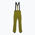 Штани гірськолижні чоловічі Descente Roscoe olive green