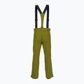 Штани гірськолижні чоловічі Descente Roscoe olive green 2