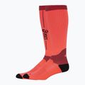 Шкарпетки для бігу ASICS Performance Run Compression sunrise red 2