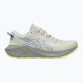 Кросівки для бігу жіночі ASICS Gel-Excite Trail 2 birch/dolphin grey 8