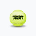 Тенісні м'ячі дитячі Dunlop Stage 1 3 шт. зелені 601338 3