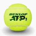 М'ячі тенісні Dunlop ATP Tour 4 pack green 4