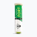 М'ячі тенісні Dunlop Fort All Court Ts 4B 2025 2