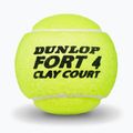 М'ячі тенісні Dunlop Fort Clay Court 4B 2025 3