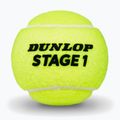 М'ячі тенісні Dunlop Stage 1 3 pack green 3