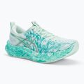 Кросівки для бігу чоловічі ASICS Noosa Tri 16 soothing sea/white