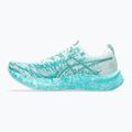 Кросівки для бігу чоловічі ASICS Noosa Tri 16 soothing sea/white 9