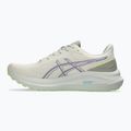 Кросівки для бігу чоловічі ASICS GT-1000 13 TR nature bathing/lime green 2