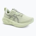 Кросівки для бігу жіночі ASICS Novablast 5 whisper green/monument blue