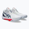 Кросівки чоловічі ASICS Sky Elite FF MT 3 white/mako blue 3