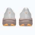 Кросівки для бігу жіночі ASICS Novablast 5 white/fawn 5