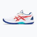 Кросівки волейбольні чоловічі ASICS Powerbreak FF white/asics blue 9