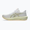 Кросівки для бігу чоловічі ASICS GT-1000 14 white/lemongrass 9