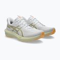 Кросівки для бігу чоловічі ASICS GT-1000 14 white/lemongrass 10